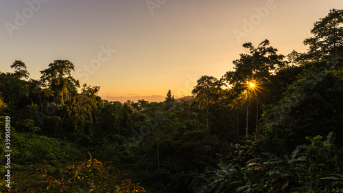 Sunrise over the jungle