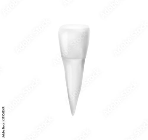 Realistic Single Tooth Composition