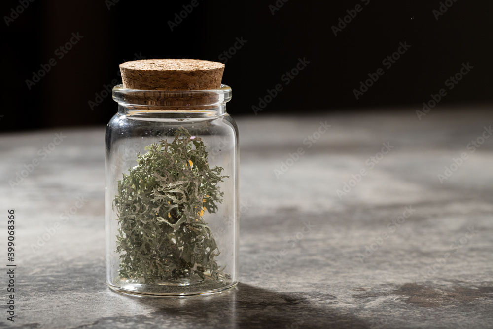 Lichen flask