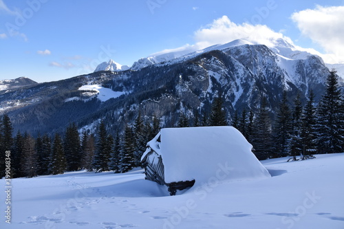Fototapeta Naklejka Na Ścianę i Meble -  Tatry, zima w mroźny dzień, Dolina Kościeliska i szlak na Polanę na Stoły