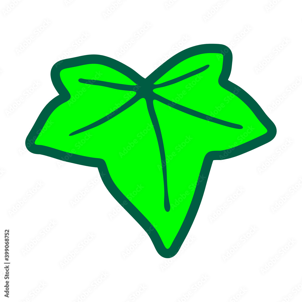 Ivy leaf Ivy leaf