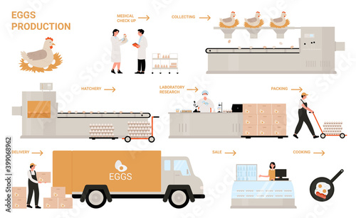 Egg process production in chicken poultry factory infographic vector illustration. Cartoon manufacture processing technology of making egg products, automated line of food industry isolated on white
