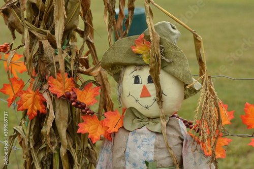 Billede på lærred Scarecrow Guarding the Garden at Thanksgiving