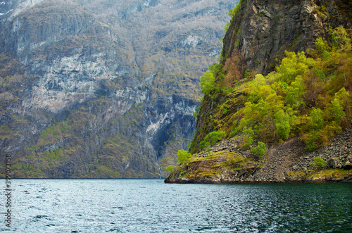 The beauty of Norwegian fjords