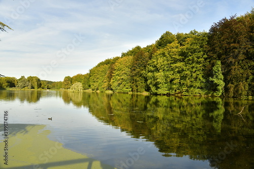 Reflet magique de la nature luxuriante en d  but d automne autour d un des   tang du parc de Tervuren    l est de Bruxelles