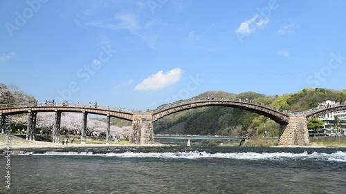 錦帯橋と桜並木