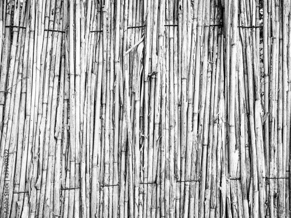 bamboo texture background bamboo texture background