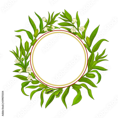 sesame vector frame