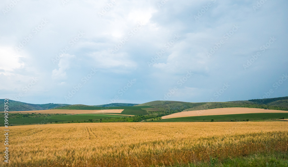 Countryside Fields in the Summer