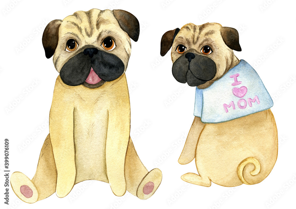 watercolor set with sitting pugs