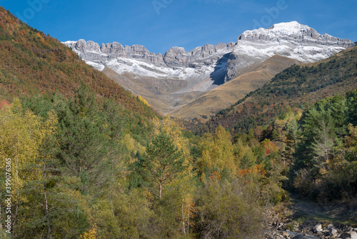 A small running stream through yellow autumn forest with Mount Perdido in background