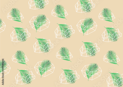 Fototapeta Tło graficzne liście palm i geometryczne nowoczesne kształty.