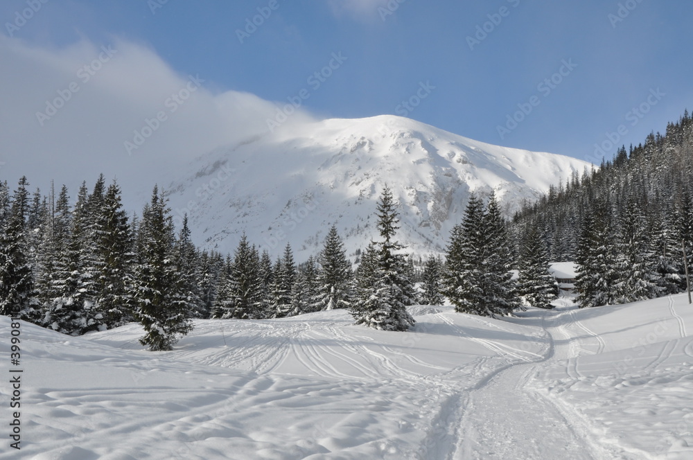 Tatry, zima, warunki górskie w mroźny dzień, szlak na Kalatówki i Halę Kondratową