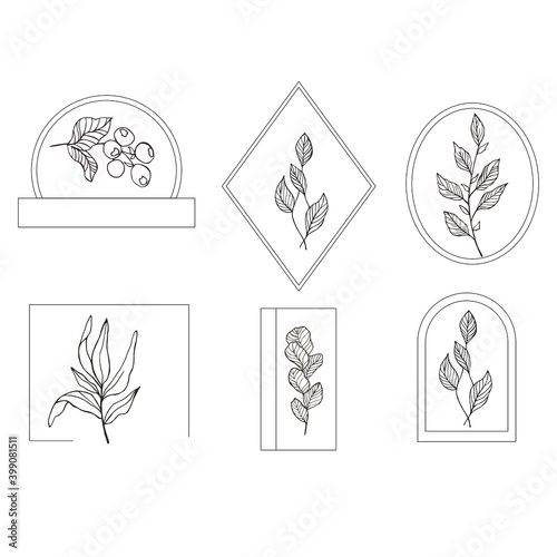 Floral elements for logo- design templates- branding- botany elements-logo for boutique- womens logo-set for creating an individual design