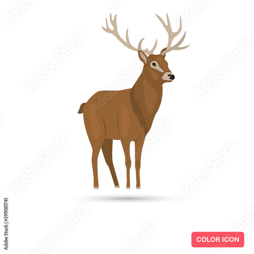 Deer animal color flat icon