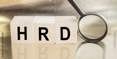 The word HRD is made of wooden building blocks, Human resource Department concept