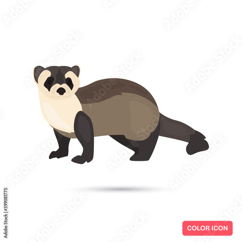 Ferret animal color flat icon