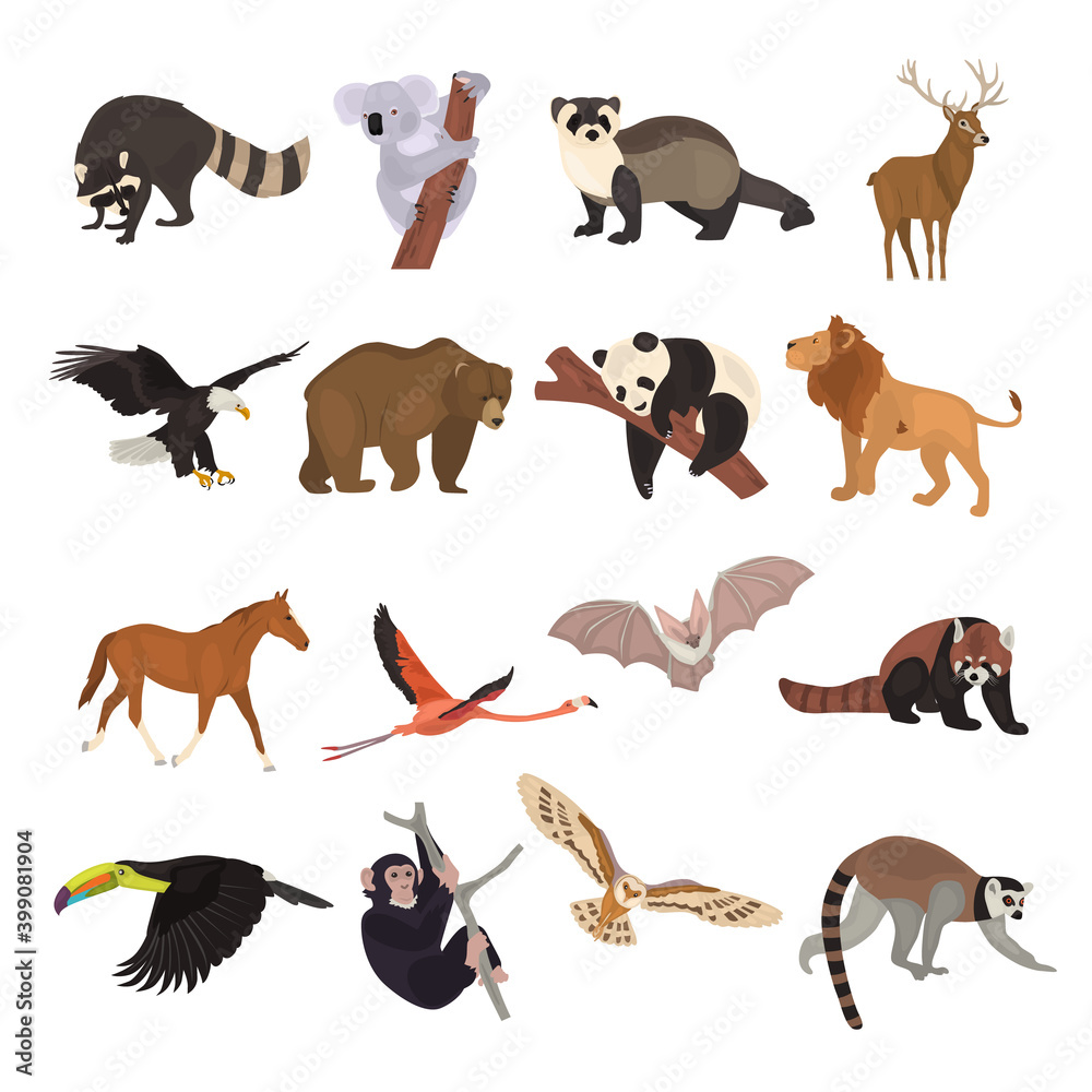 Around the world animals collectiom color flat icons set