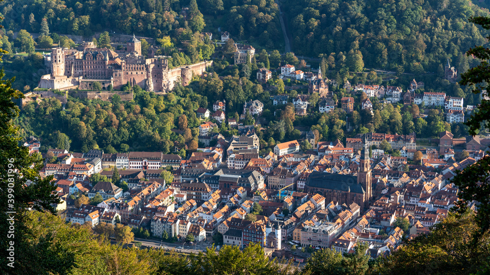 heidelberg historic old town with the castle, germany
