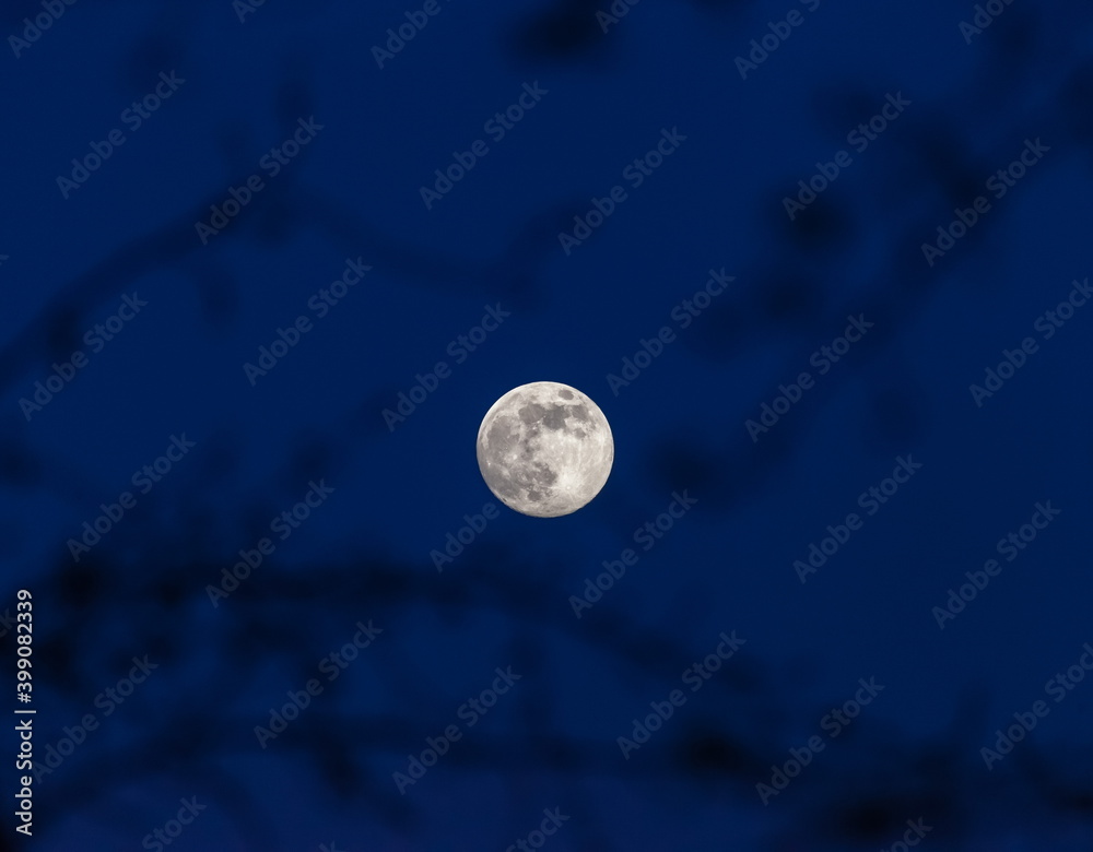 Full moon against the night sky through the branches of an Apple tree in winter. Full moon against the night sky through the branches of an Apple tree in winter.