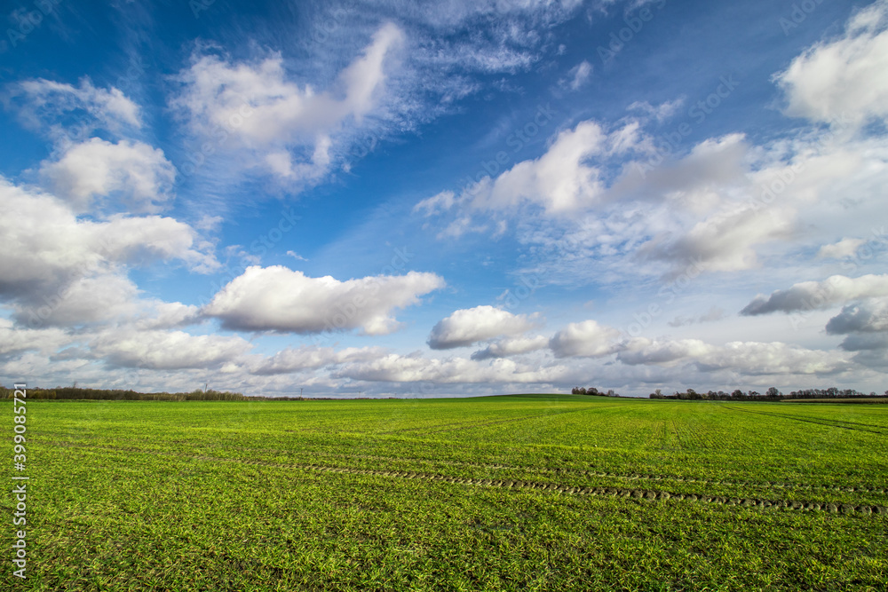 green field and blue sky in autumn