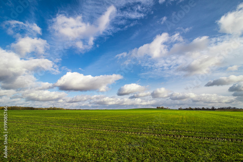 green field and blue sky in autumn