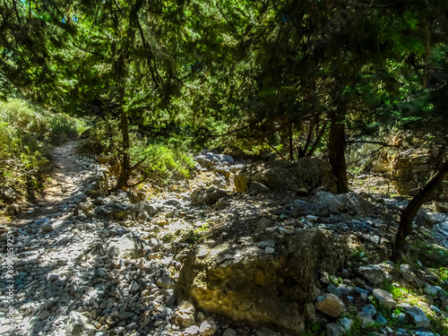 The trail meets a wooded area of the Imbros Gorge near Chania, Crete on a bright sunny day