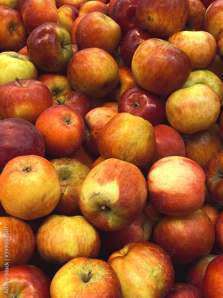 set of apples. fresh apples harvest for food patterns set of apples. fresh apples harvest for food patterns
