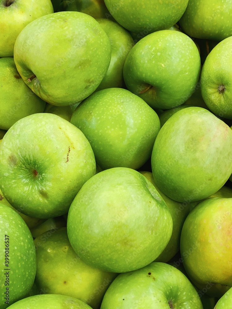 set of apples. fresh apples harvest for food patterns set of apples. fresh apples harvest for food patterns