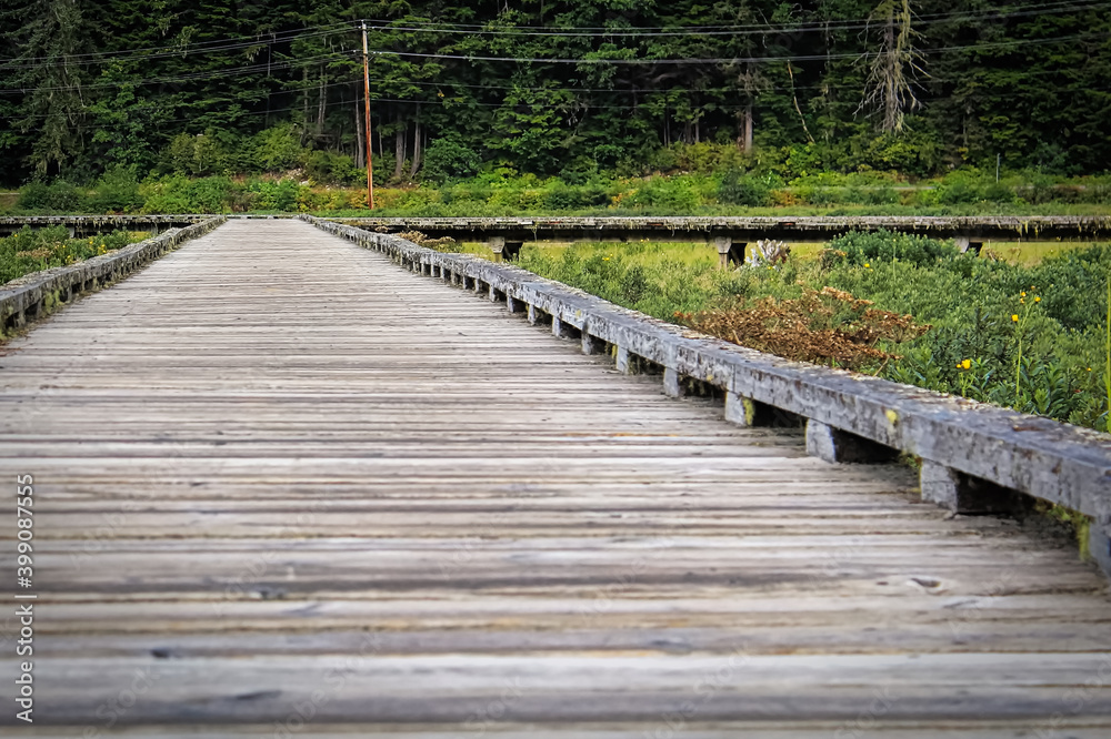 A low angle view of a boardwalk leading away