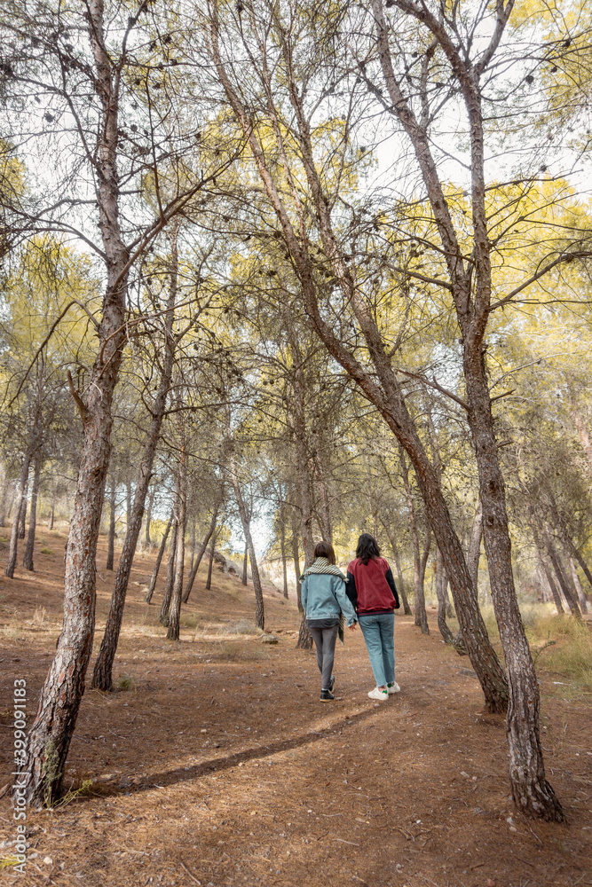 Vertical shot of a couple walking in the park. Autumn and vintage landscape Vertical shot of a couple walking in the park. Autumn and vintage landscape