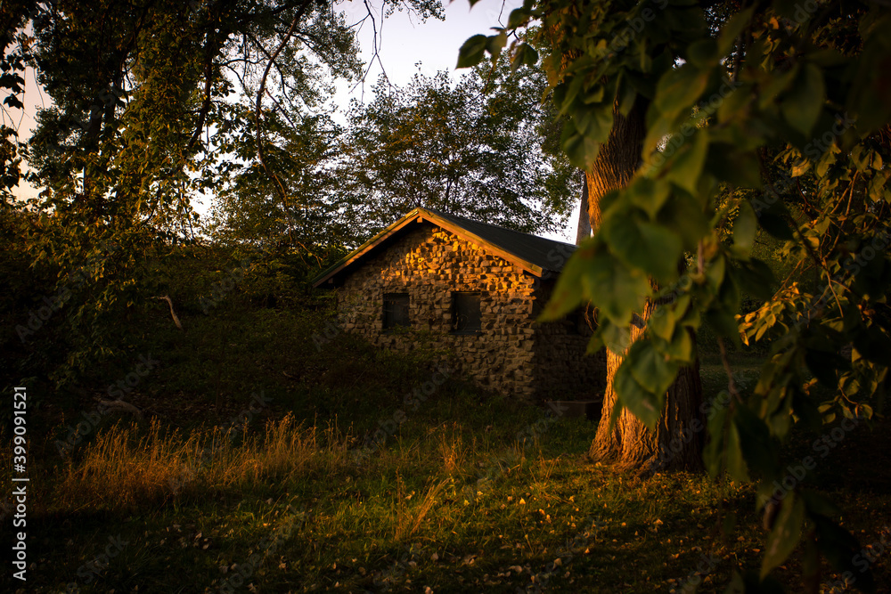house in the woods house in the woods