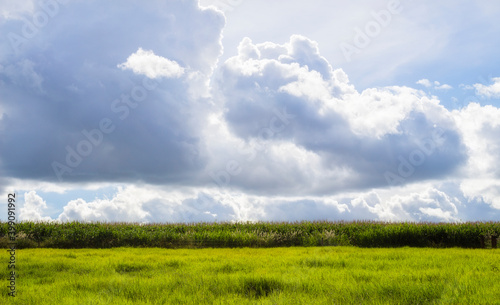 Wonderful cloudy landscape in the countryside with massive clouds and blue sky.