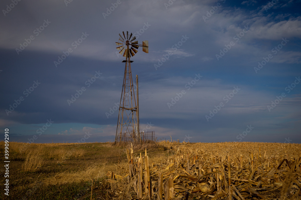 wheat field in the sunset with wind turbine
