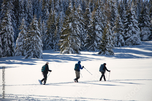 Canvastavla Ciaspolata e camminata con le racchette da neve in montagna con persone in trent
