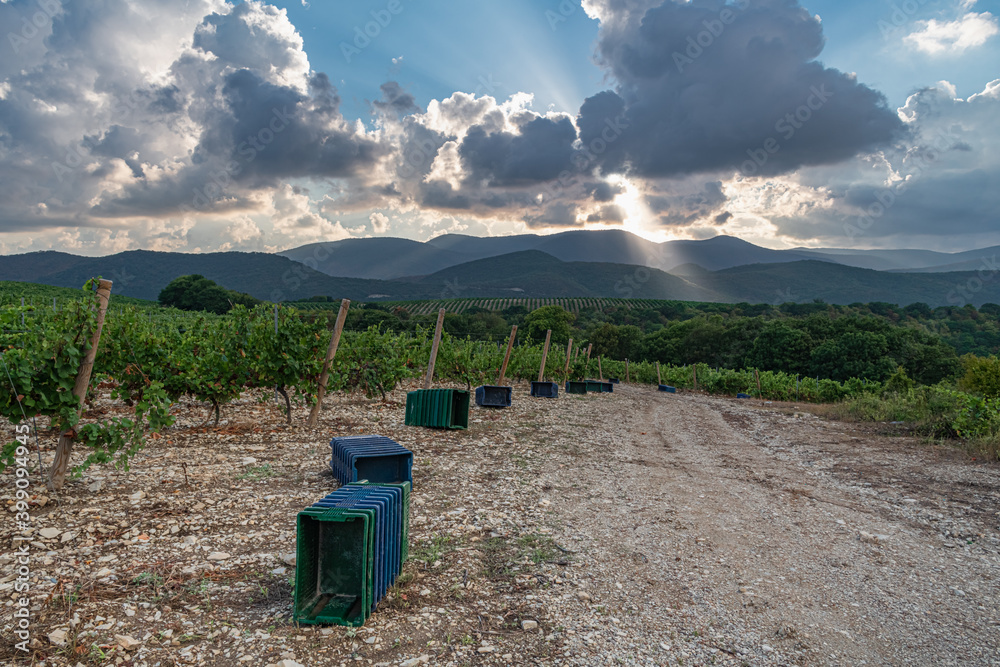 Dirt road with sunset view