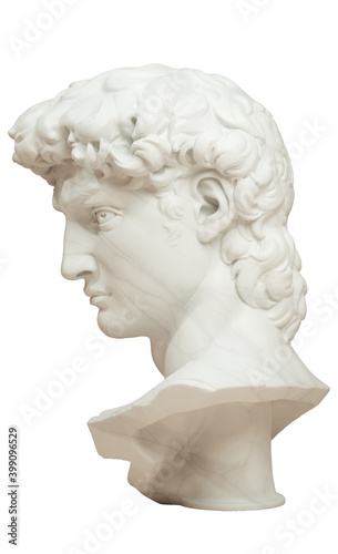 3D rendering illustration of Head of Michelangelo's David isolated on white background. Profile view.