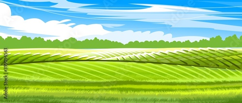 Hills and meadows. Haymaking pastures. Agricultural farm land. Green grass. Grassland for farming. Beautiful countryside landscape. Vector