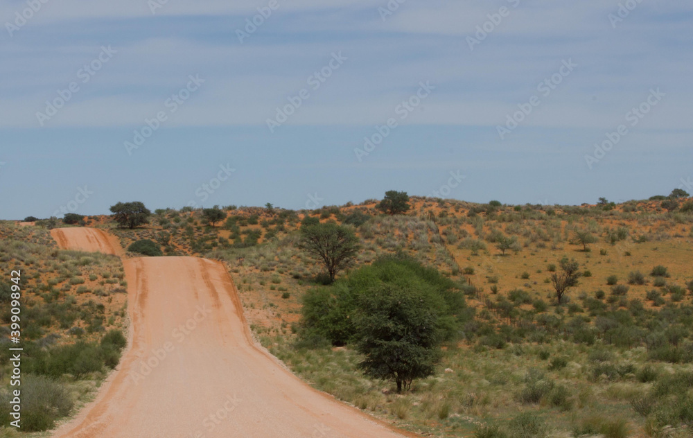 Kalahari nach der Regenzeit Kalahari nach der Regenzeit