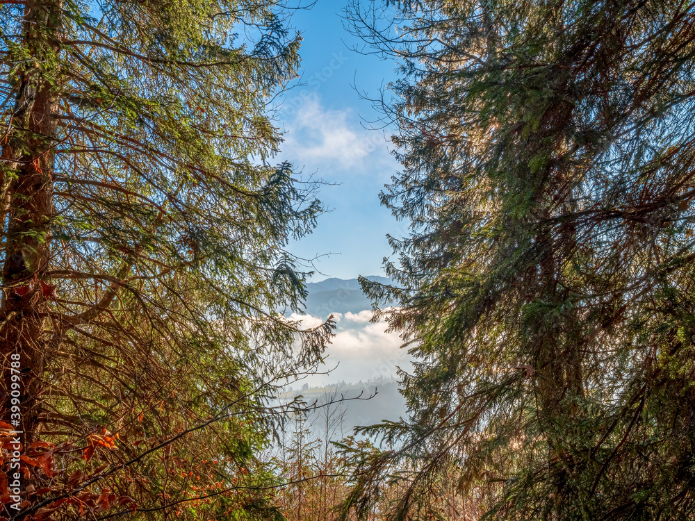 Obraz premium Natural Hiking Path on top of the mountain with morning sun during and view to the Ammersee