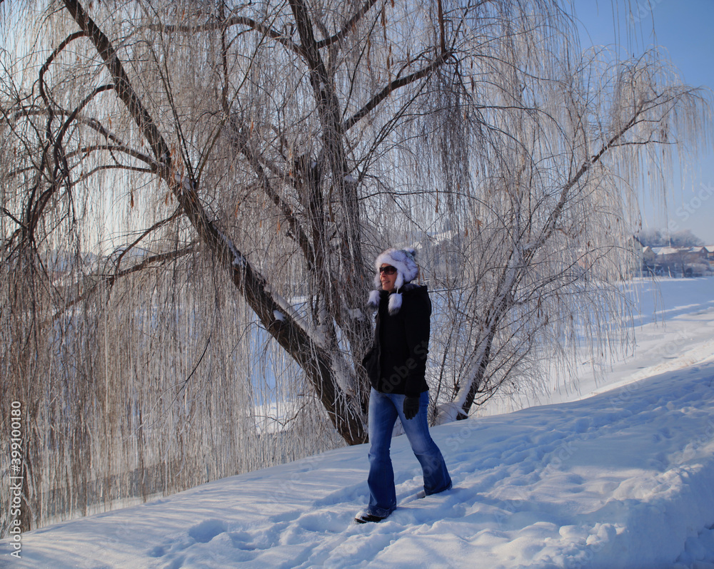 Young woman walking past a frozen,snowy willow tree on a sunny winter day