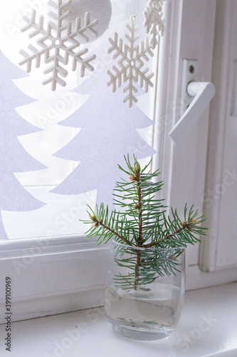 Christmas decoration windowsill. Fir tree branch in glass.
