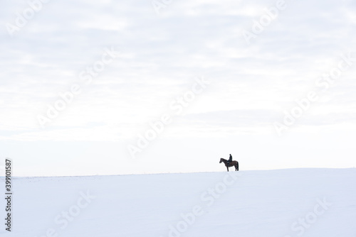 A man on horseback on a winter day in the fields and hills. Solo walks on a day off.