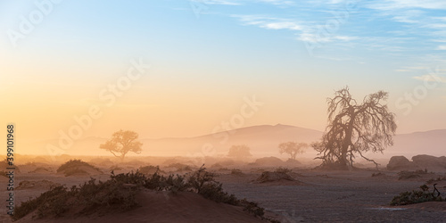 Photos Sossusvlei, Namibia