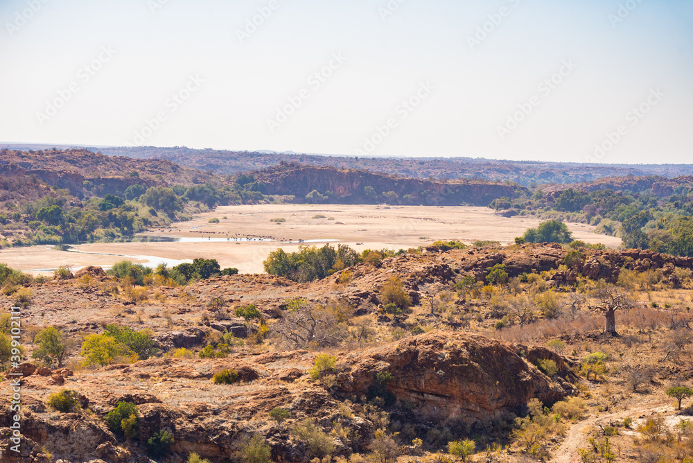 River crossing the desert landscape of Mapungubwe National Park, travel destination in South Africa. Braided Acacia and huge Baobab trees with red sandstone cliffs.