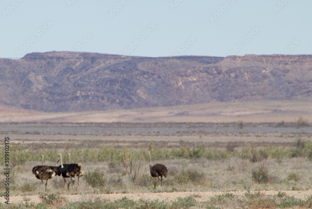 Namuskluft in Namibia