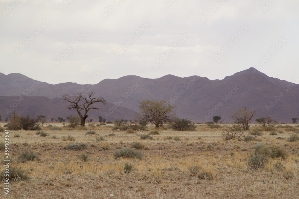 Gegend um Little Sossus Lodge in Namibia Gegend um Little Sossus Lodge in Namibia