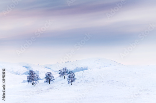 Trees on the snow-covered hills on misty winter day. Beautiful winter landscape. South Ural, Russia © smallredgirl