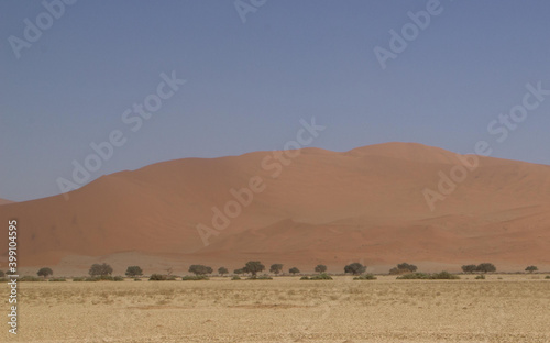 Big Daddy D  ne in Namibia nahe Deadvlei  dem Tal des Todes