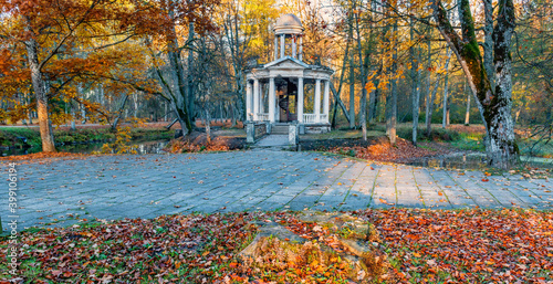 Autumn morning in old  public park, Europe,